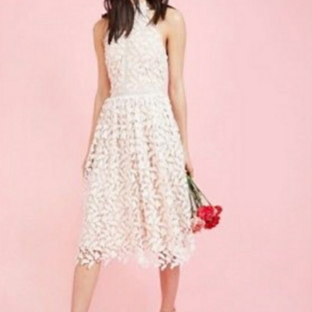 Modcloth Liza Luxe Divine Lace Dress